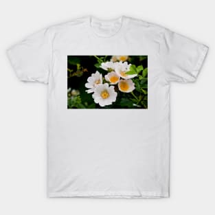 English Wild Flowers - Dog Rose T-Shirt